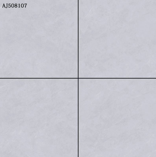 AJ508107