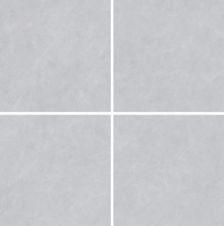 DN136656 600X600